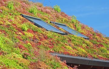 Colney Street living roof systems